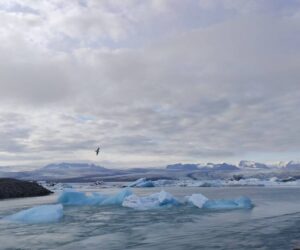 que ver en el este de islandia