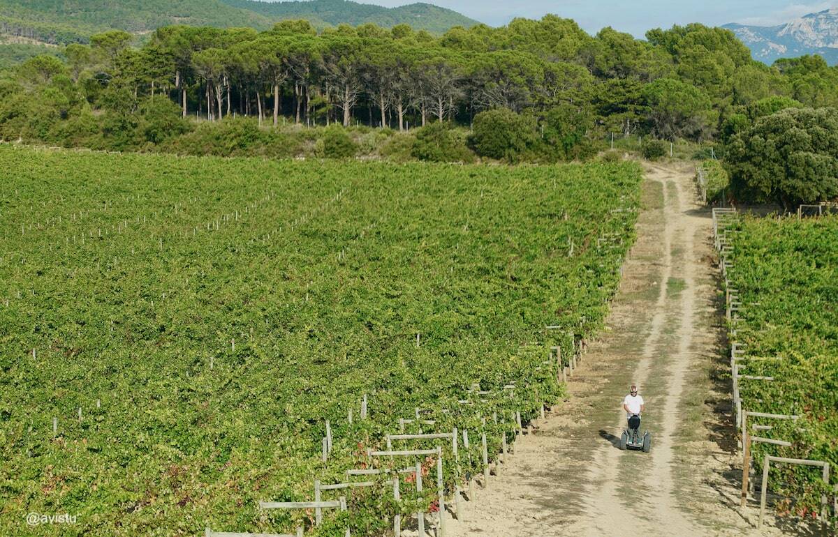 En Segway por los viñedos de La Rioja