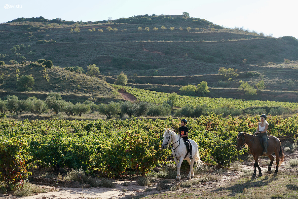 Enoturismo en forma de paseo a caballo por La Rioja