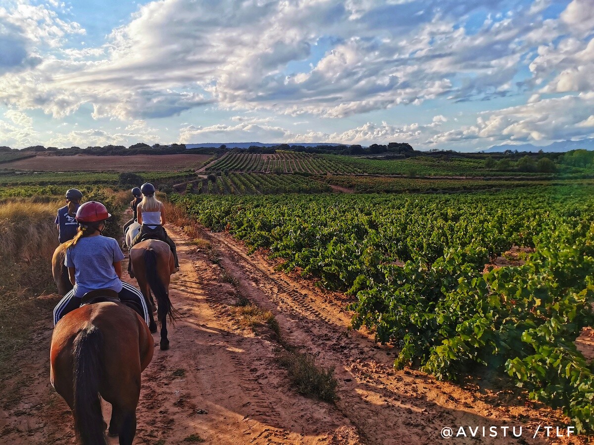 Enoturismo paseando a caballo por La Rioja