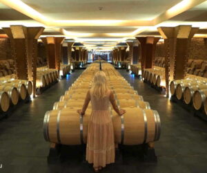 Interior Bodega Vivanco La Rioja