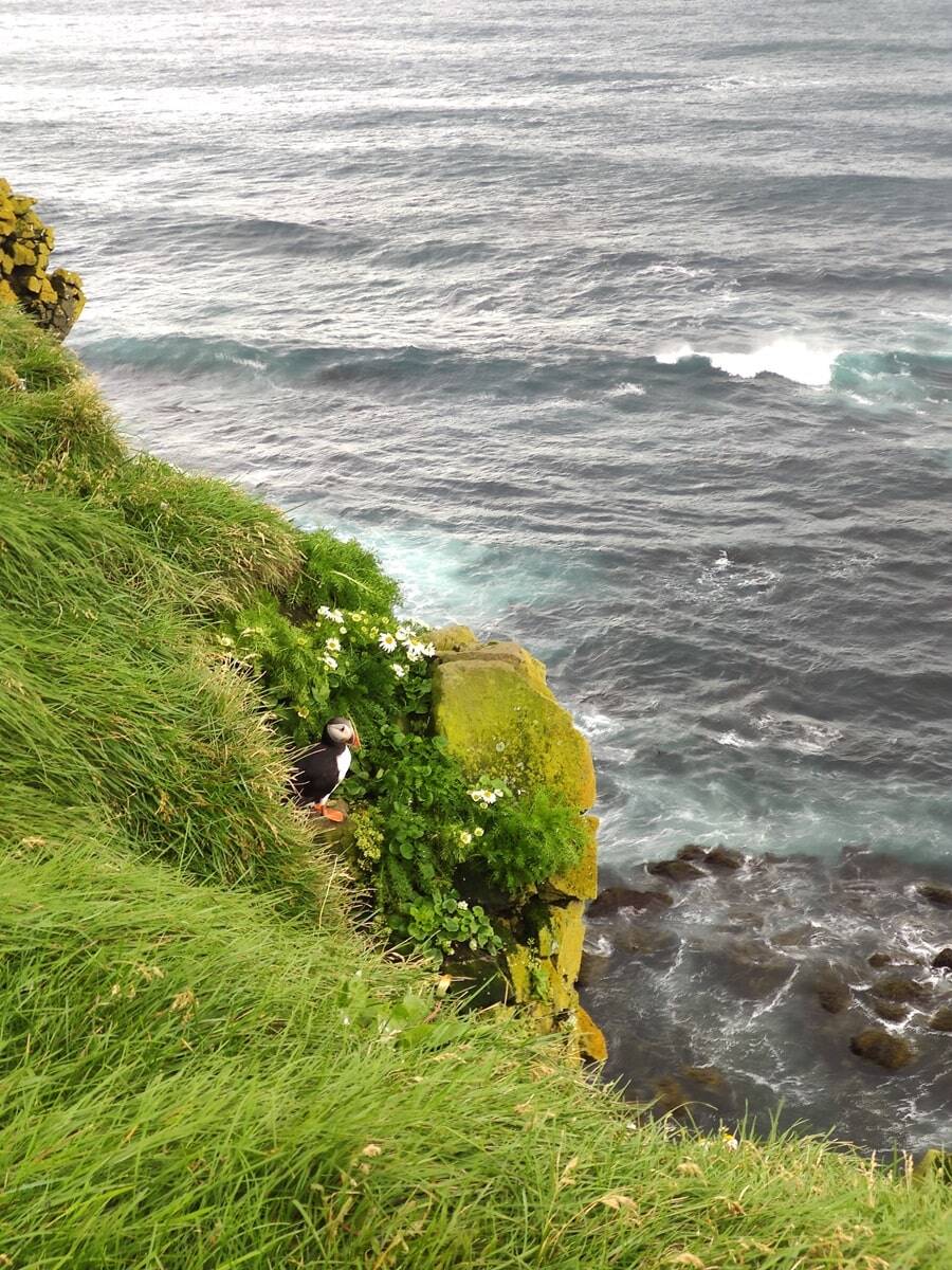 que ver en Latrabjarg