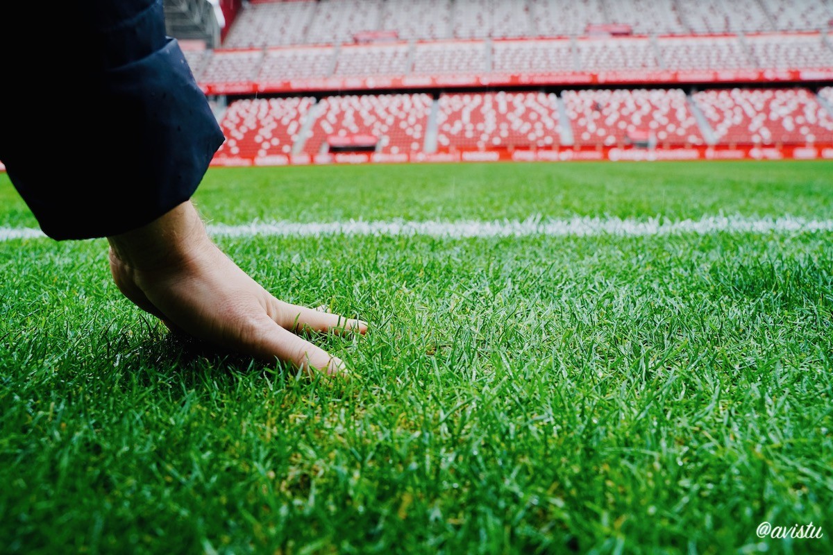 Césped del campo, Tour del Estadio El Molinón Sporting de Gijón, Gijón, Asturias