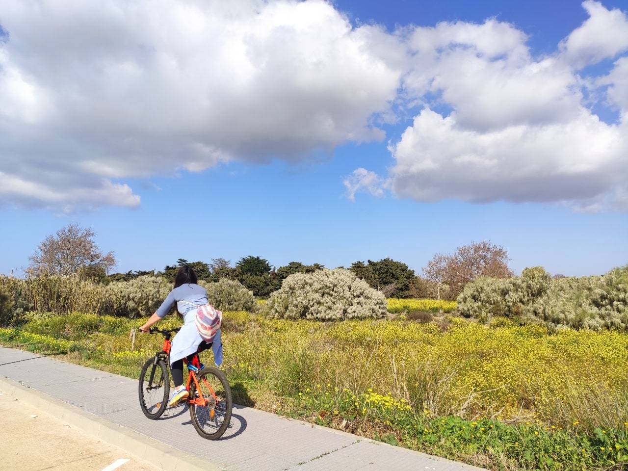 via verde entre rios