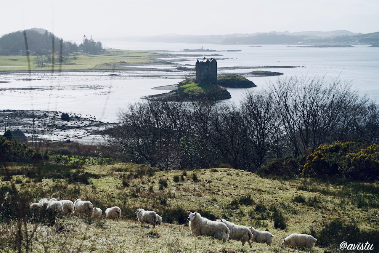 Castillo de Stalker, Highlands, Escocia [(c)Foto: @avistu]