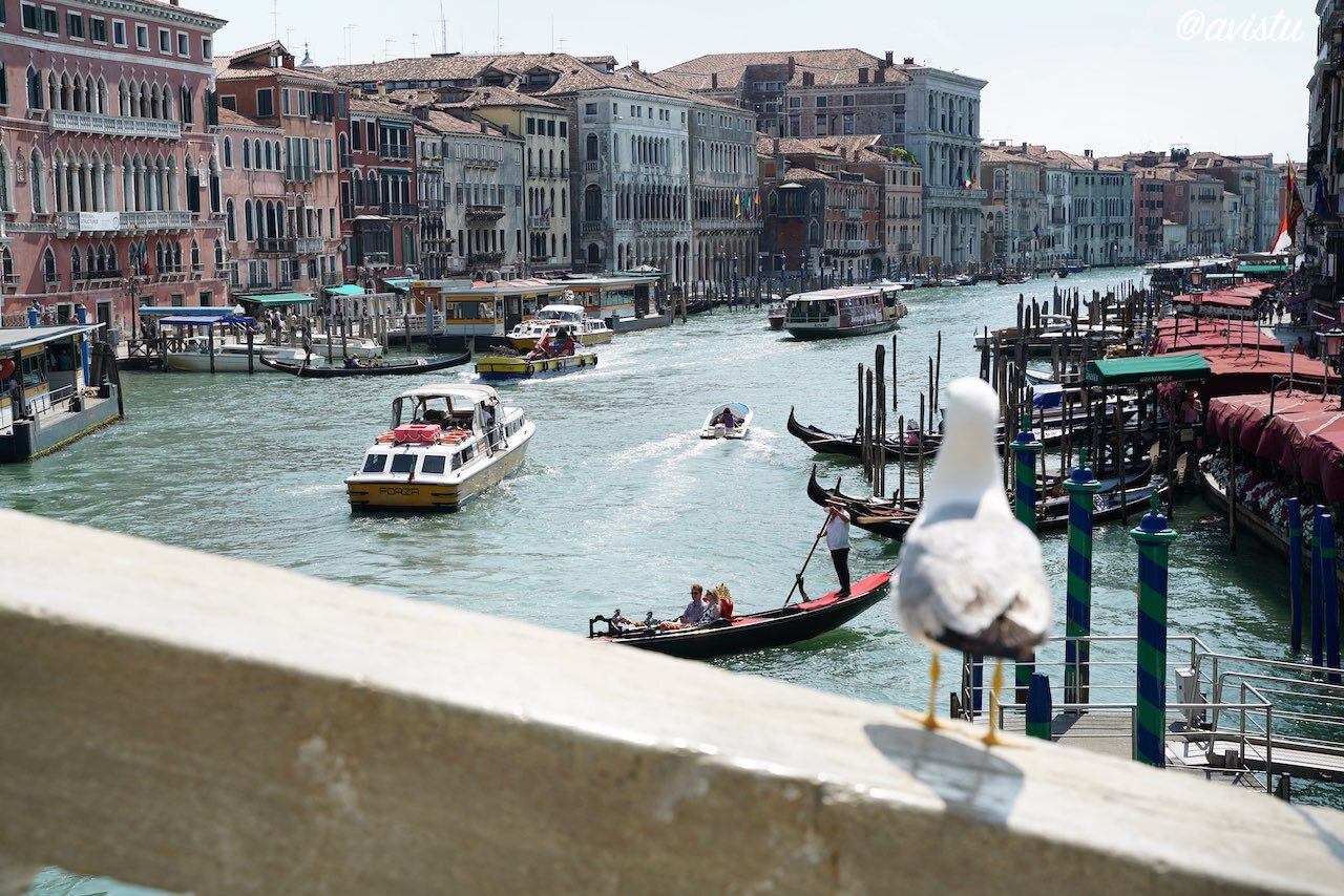 El Gran Canal de Venecia desde el Puente de Rialto [(c)Foto: @avistu]