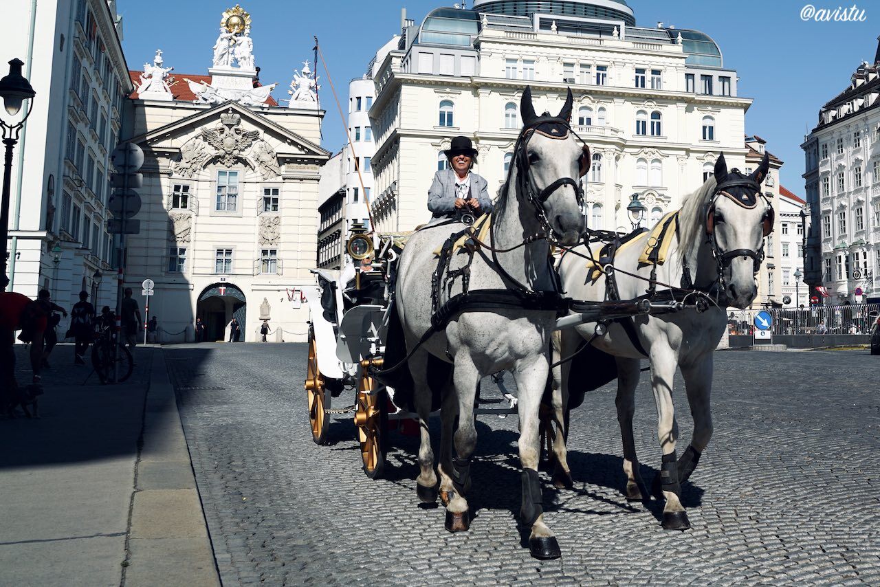 La Plaza Am Hof en Viena [(c) Foto: @avistu]