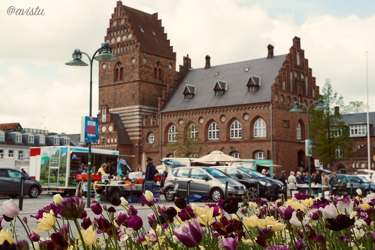 Mercado en la Plaza Stændertorvet de Roskilde [(c) Foto: @avistu]