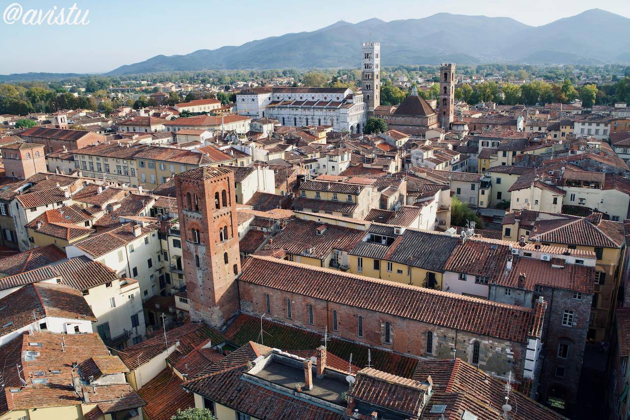 Panorámica de Lucca desde lo alto de una de sus torres, Lucca, Toscana, Italia [(c)Foto: @avistu]