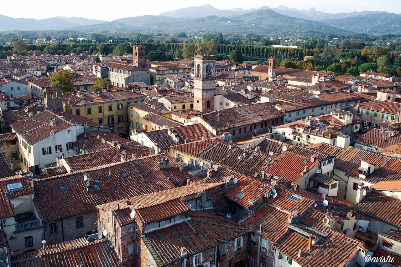 Panorámica de Lucca desde la Torre Guinigi, Toscana, Italia [C)Foto: @avistu]