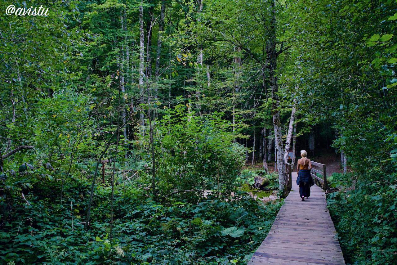 Senderismo en el Parque Nacional Biogradska Gora, Montenegro [(c)Foto: @avistu]