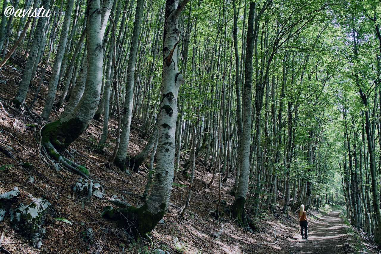 Senderismo por el Parque Nacional Lovcen, Montenegro [(c)Foto: @avistu]