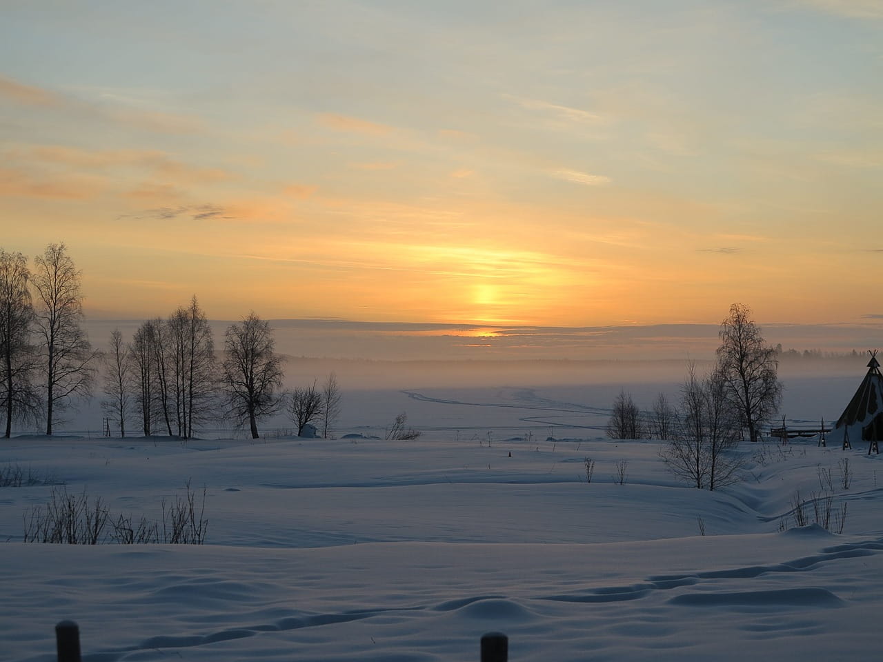atardecer sobre nieve y bosque