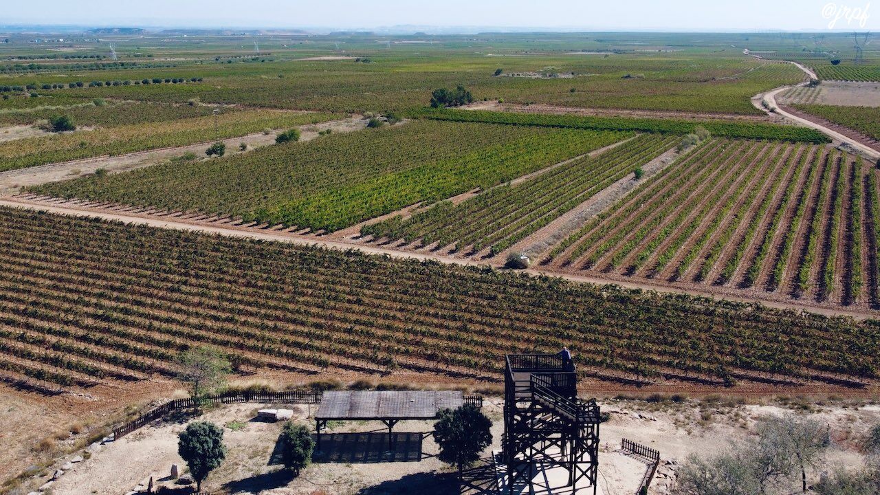 Mirador de las Viñas, Aldeanueva de Ebro, La Rioja [(c)Foto cedida por jrpf]