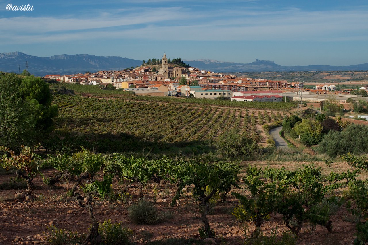 Viñedos frente al pueblo de Navarrete, La Rioja [(c)Foto: @avistu]