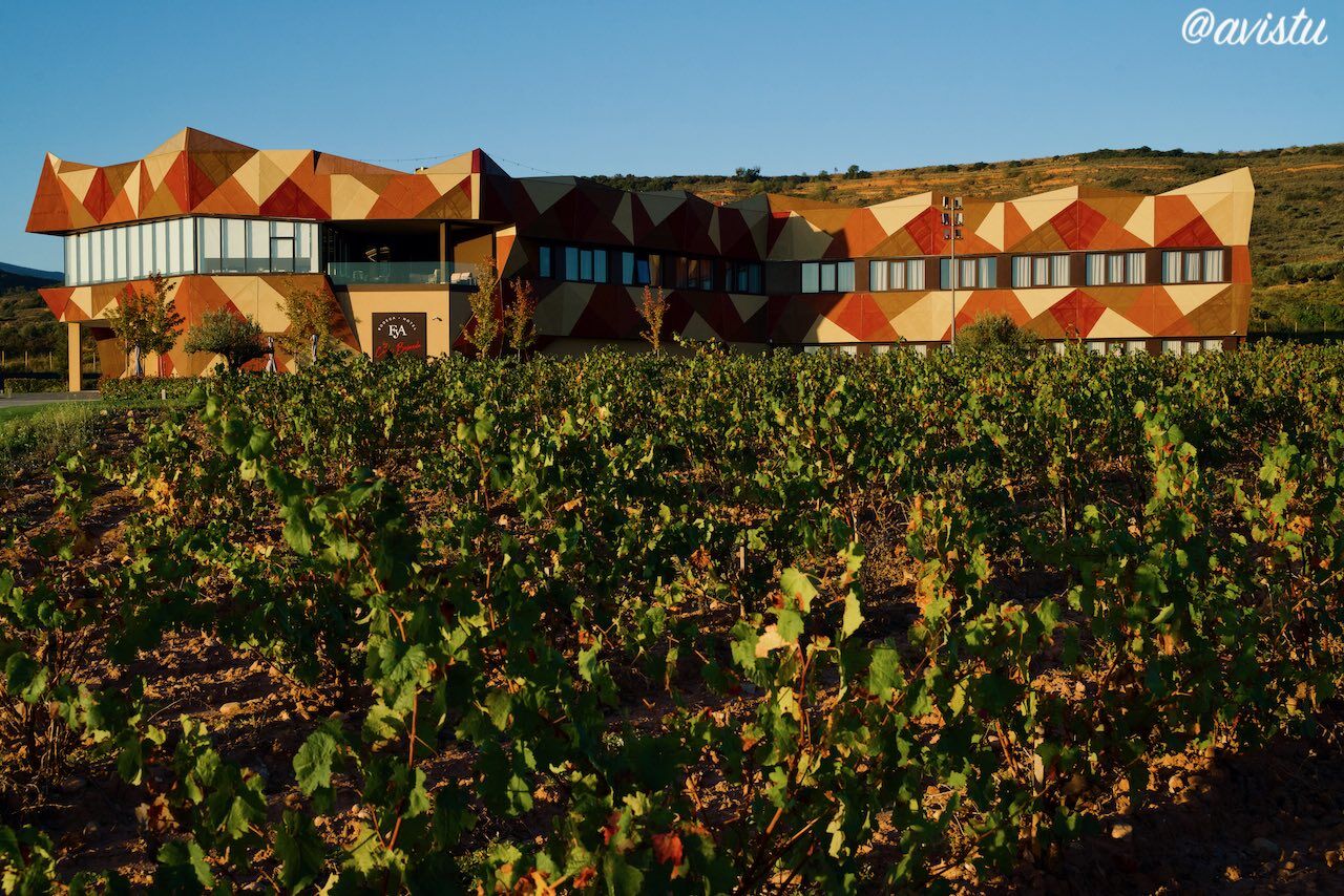 Viñedos de la bodega a los pies del Hotel Bodega FyA, Navarrete, La Rioja [(c)Foto: @avistu]