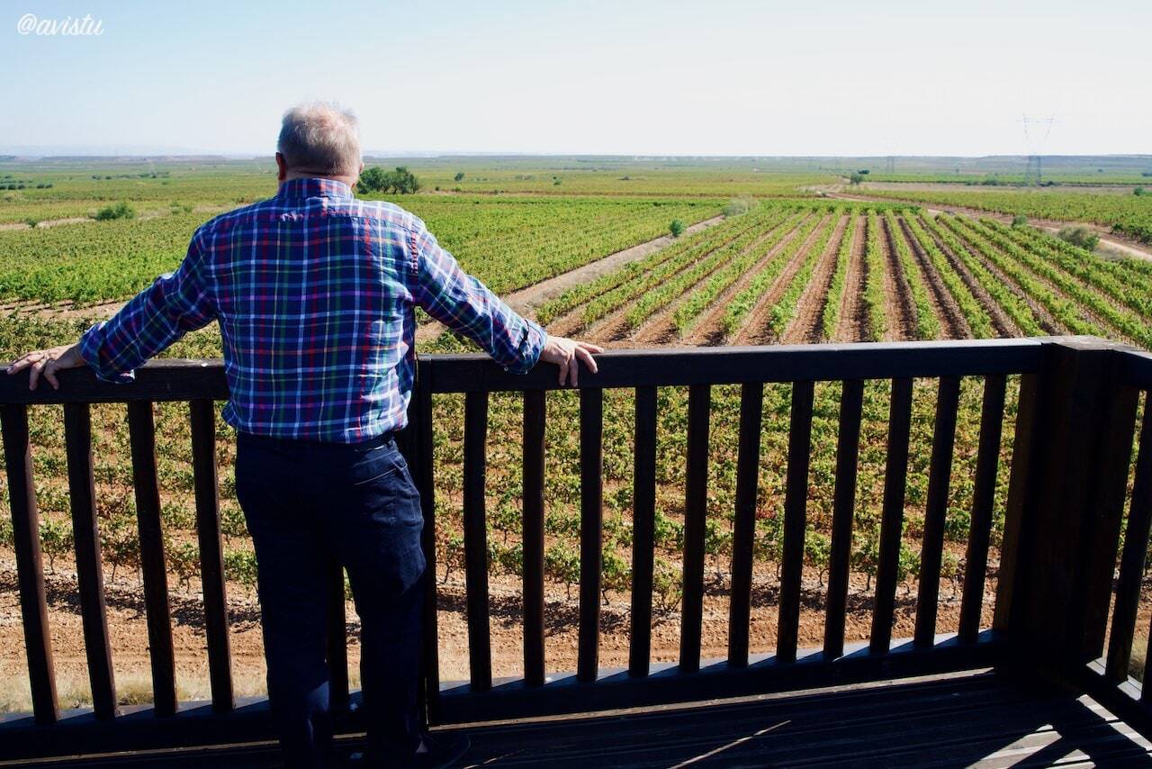 Vistas desde el Mirador de las Viñas, Aldeanueva de Ebro, La Rioja [(c)Foto: @avistu]