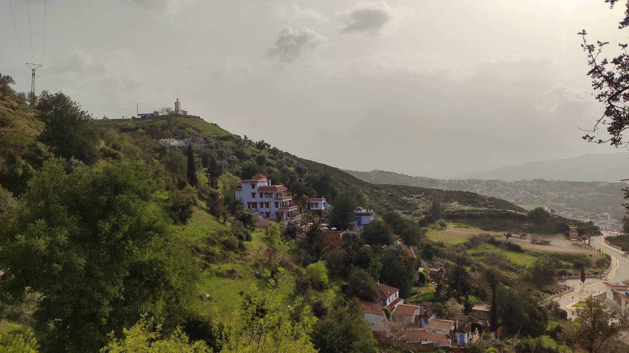 mezquita y campos verdes