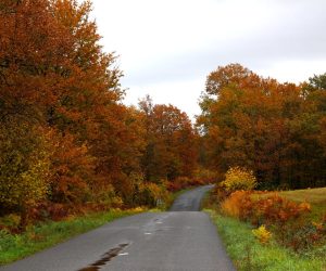 Ruta por el Valle del Loira: castillos, ciudades y cómo organizar el viaje