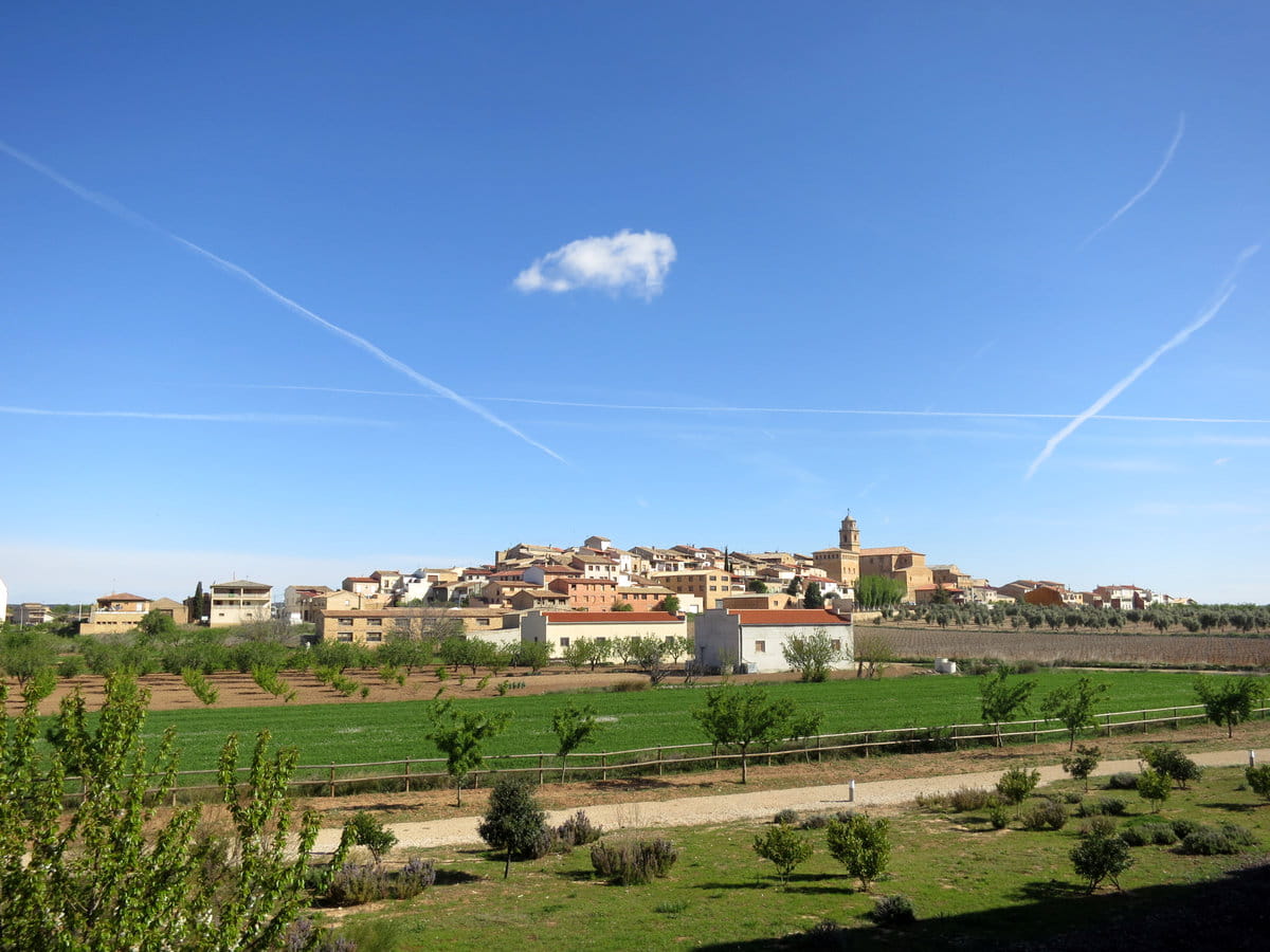 Arnes en Tarragona
