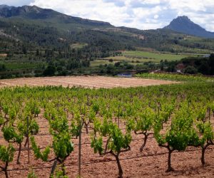 Excursiones desde Tarragona: las mejores escapadas de 1 día
