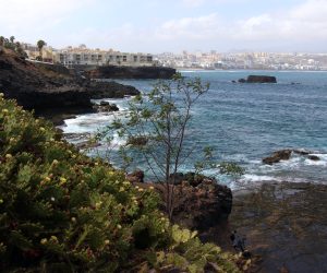 Gran Canaria perfil de la costa