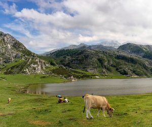 Escena en los Picos de Europa