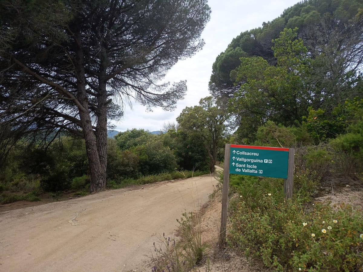 Ruta Montnegre