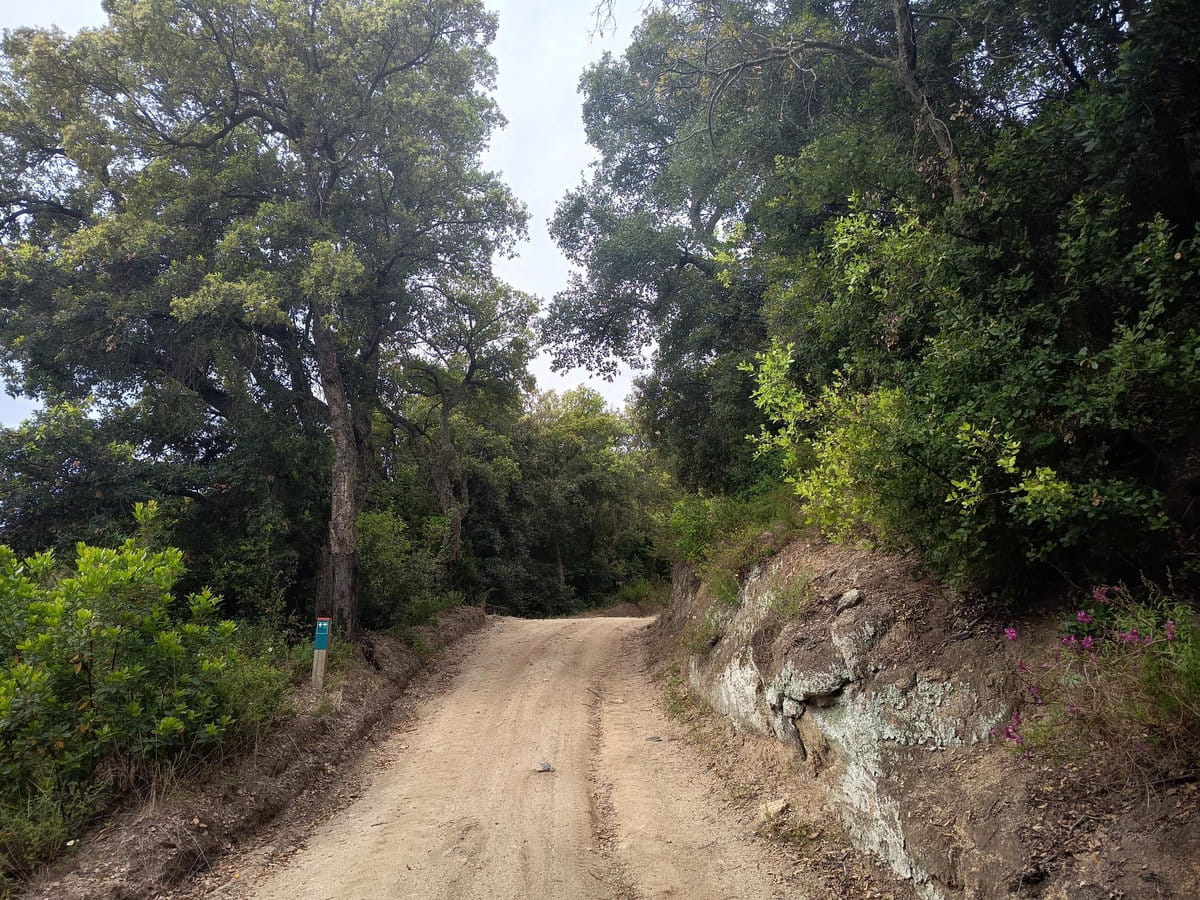 GR5 de Montnegre