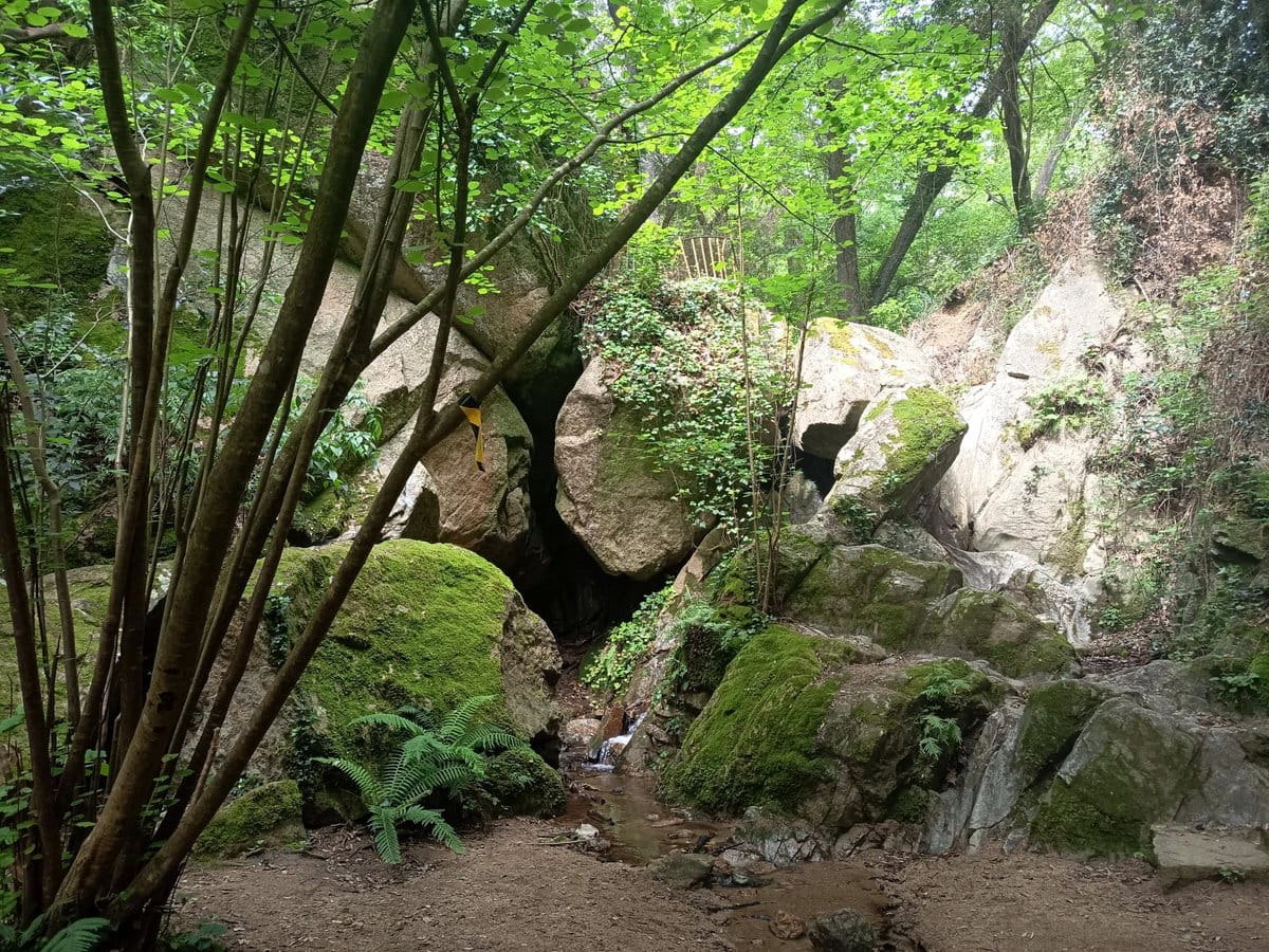 Dones d'Aigua