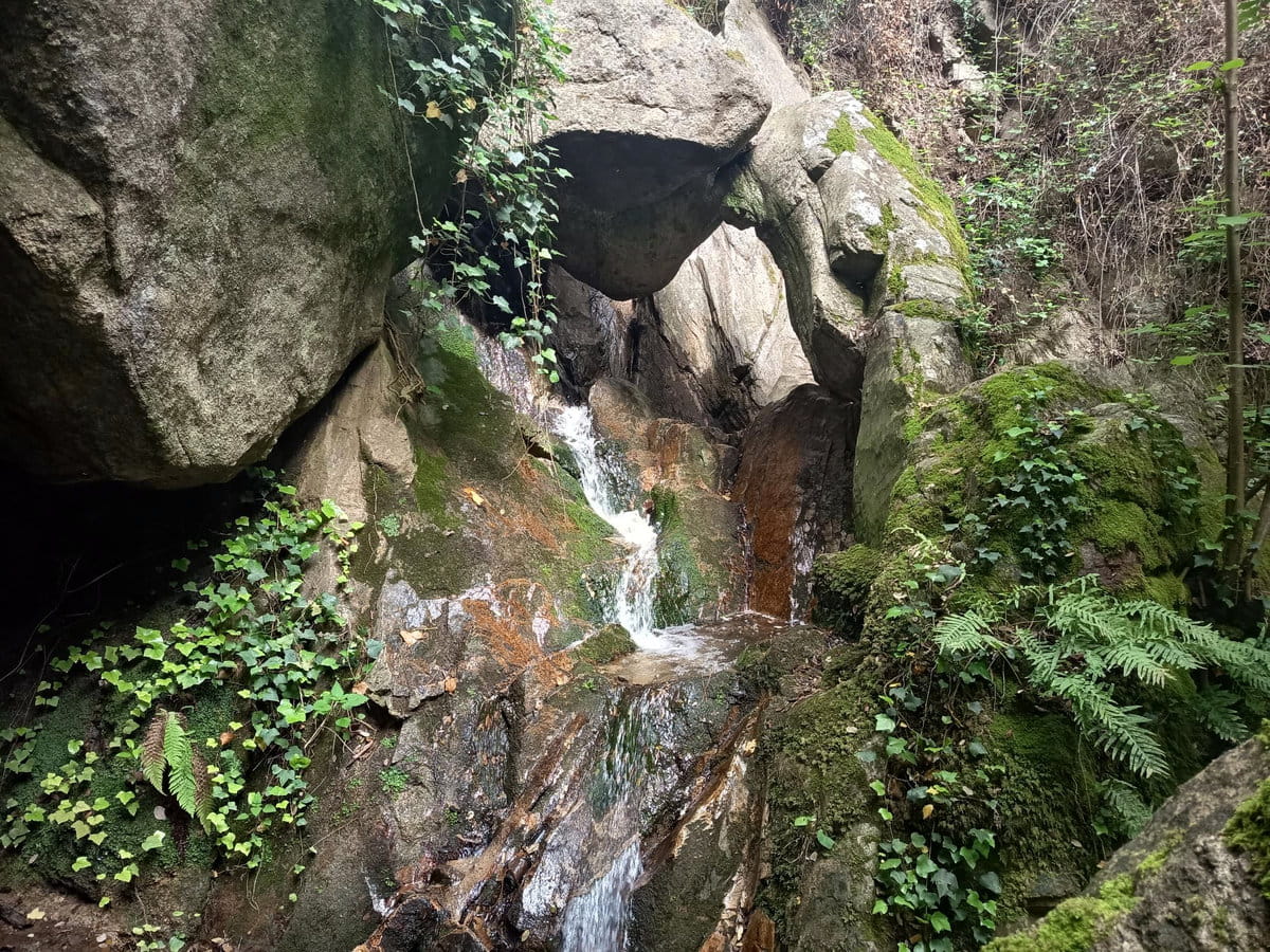 Dones d'Aigua Pla de les Forcs