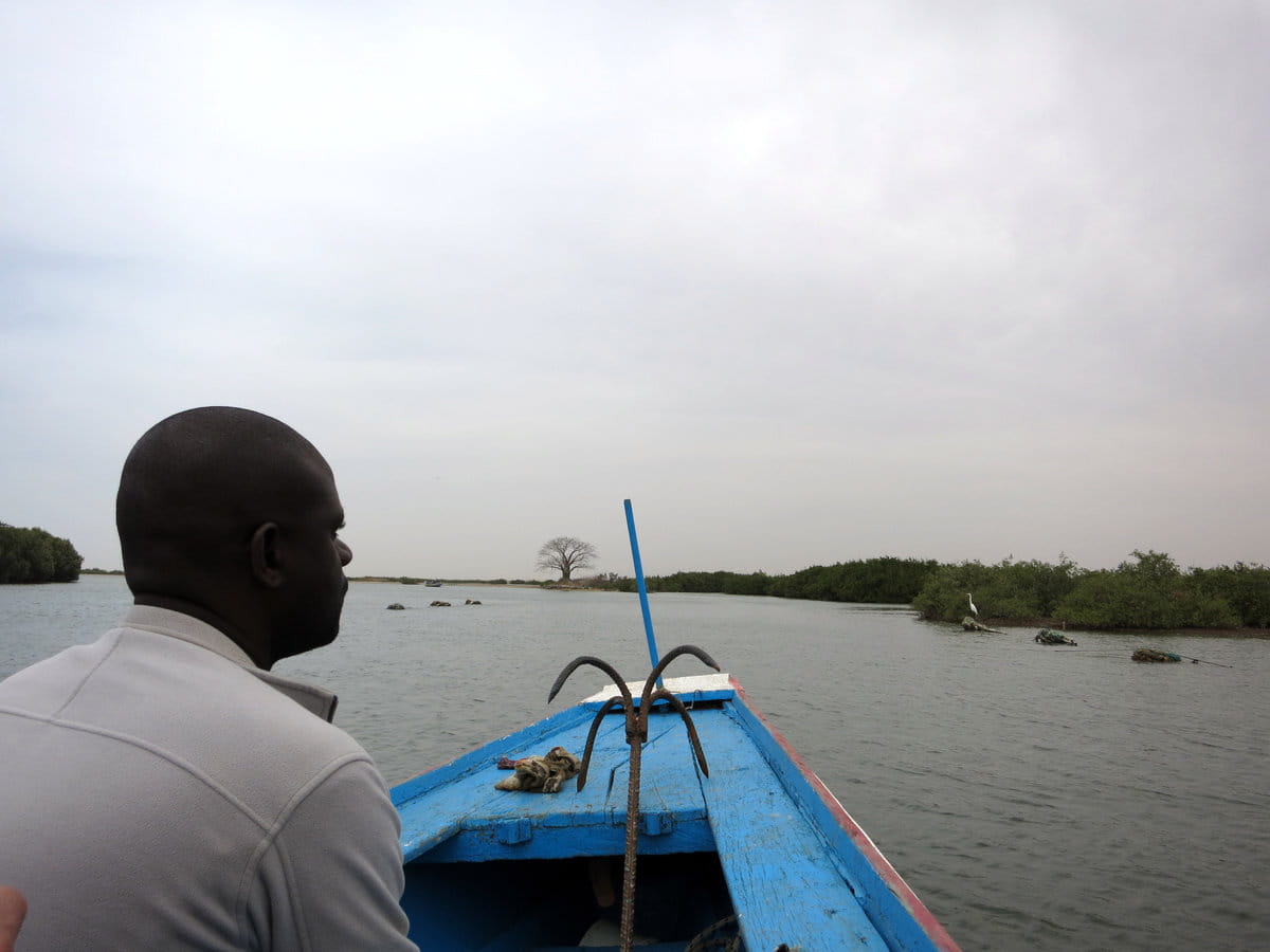 Delta de Saloum, Senegal