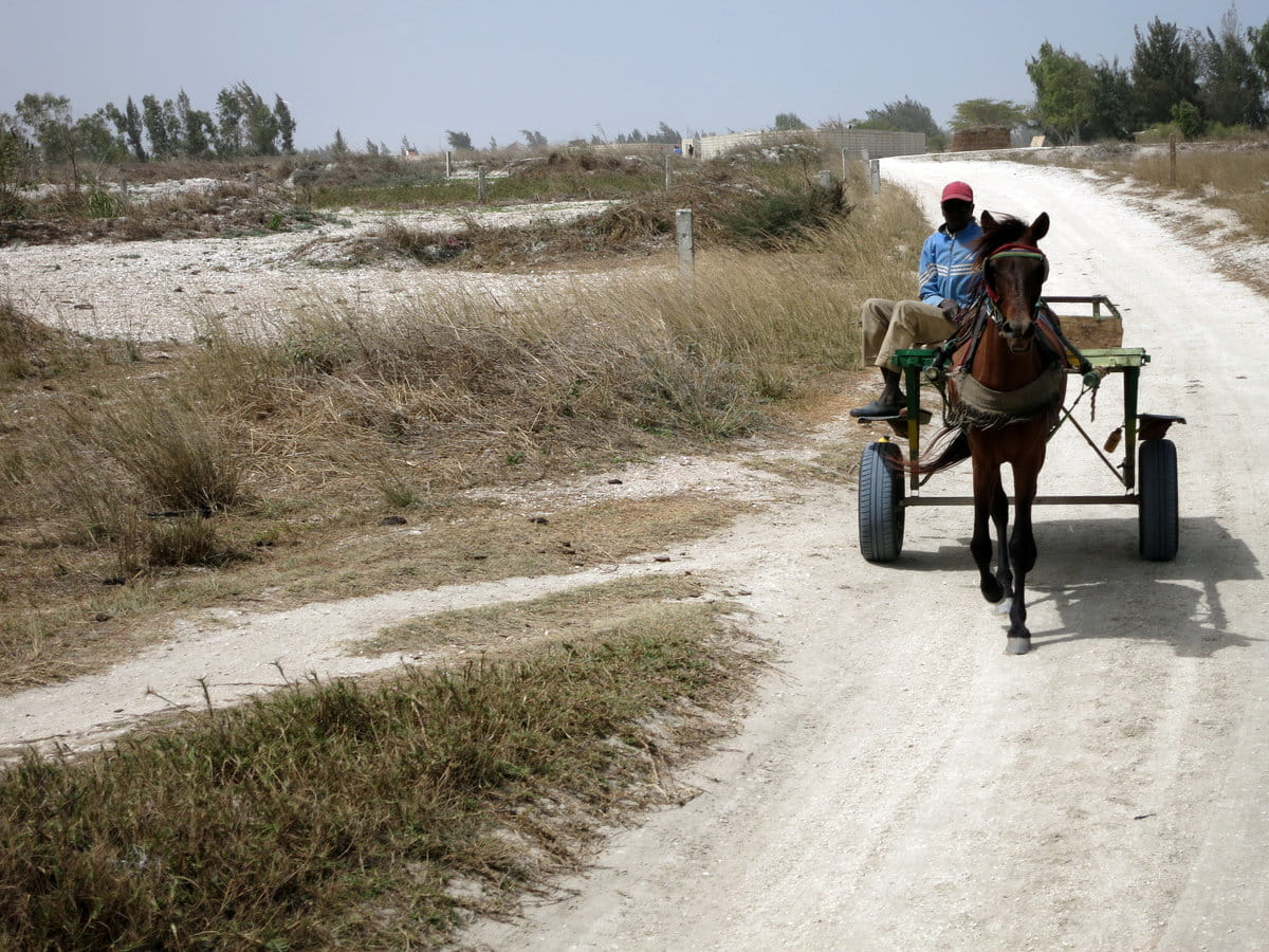 Carro en Senegal