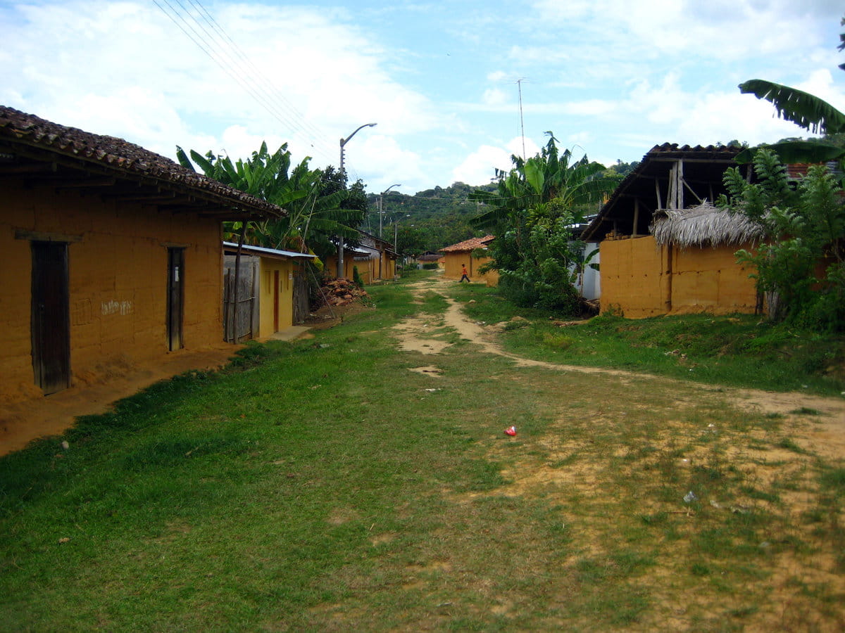 Lamas cerca de tarapoto