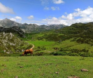 Qué hacer en Cantabria: mejores actividades y experiencias imprescindibles