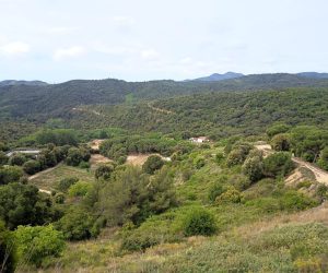 Montnegre vistas Pla Forcs