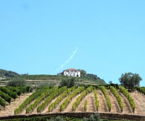 Bodegas Croft en el Valle del Duero
