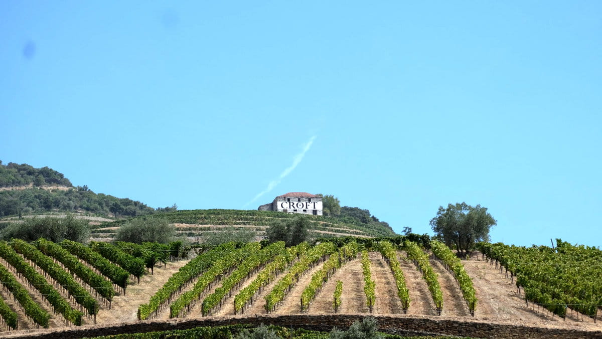 Bodegas Croft en el Valle del Duero