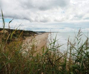 Las salvajes playas de Conil de la Frontera