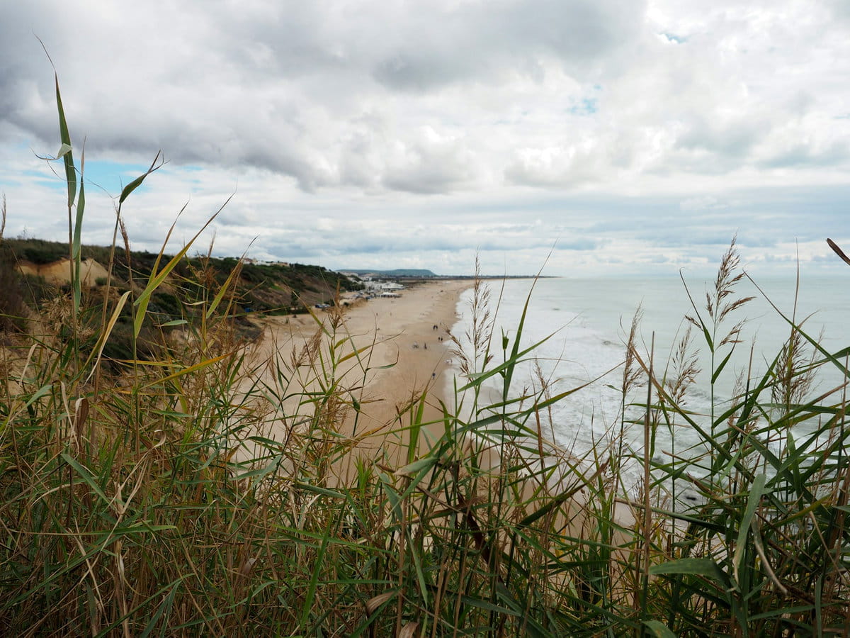Las salvajes playas de Conil de la Frontera