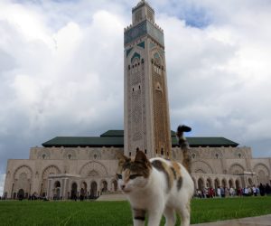 La mezquita de Casablanca