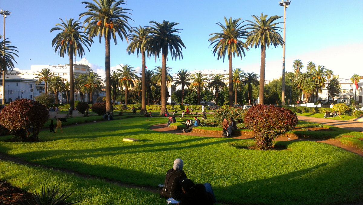 Jardines en la plaza de Mohammed