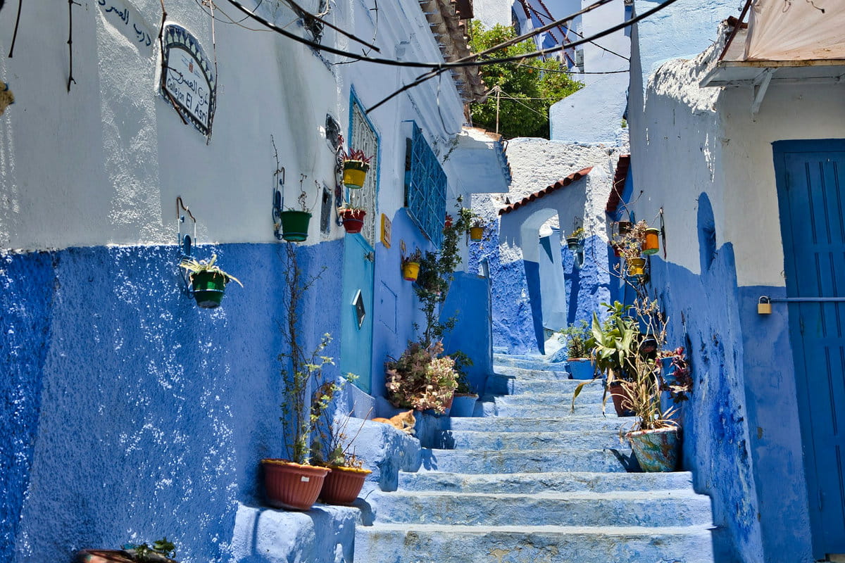 Plantas decorando las escaleras de una calle en Chefchaouen
