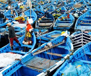 El azul domina en el puerto de Essaouria