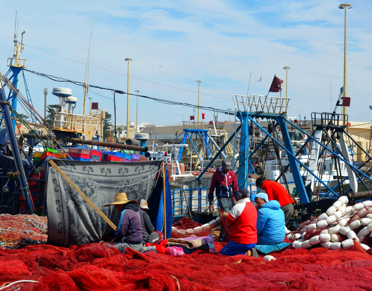 Pescadores trabajando en el puerto de Essaouria