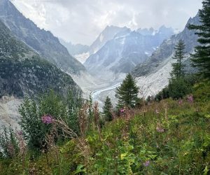 Vistas al Mer du Glace