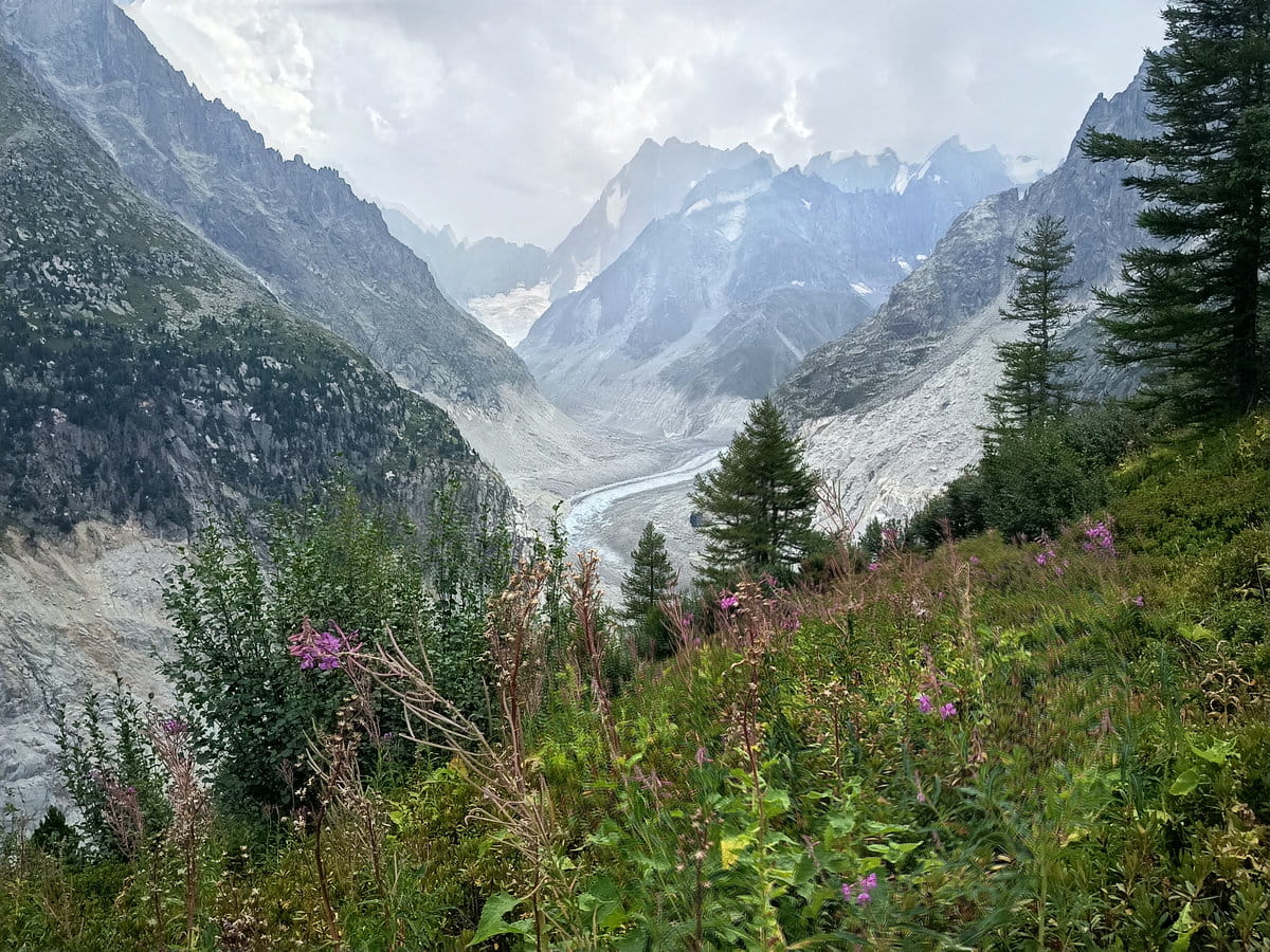 Vistas al Mer du Glace