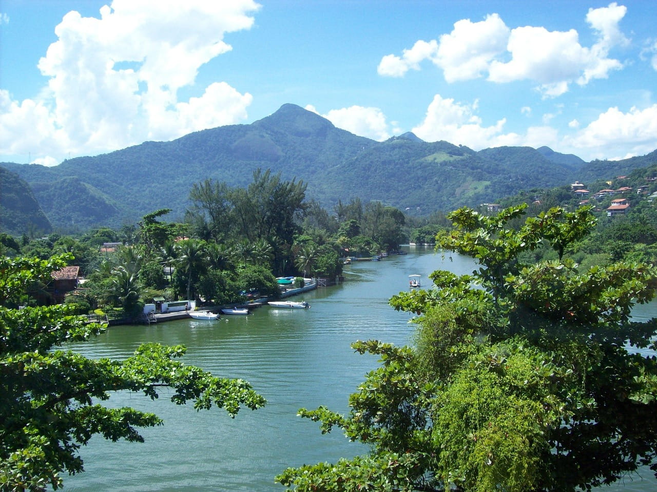 selva tijuca rio