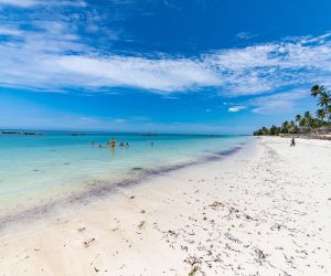 playa zanzibar