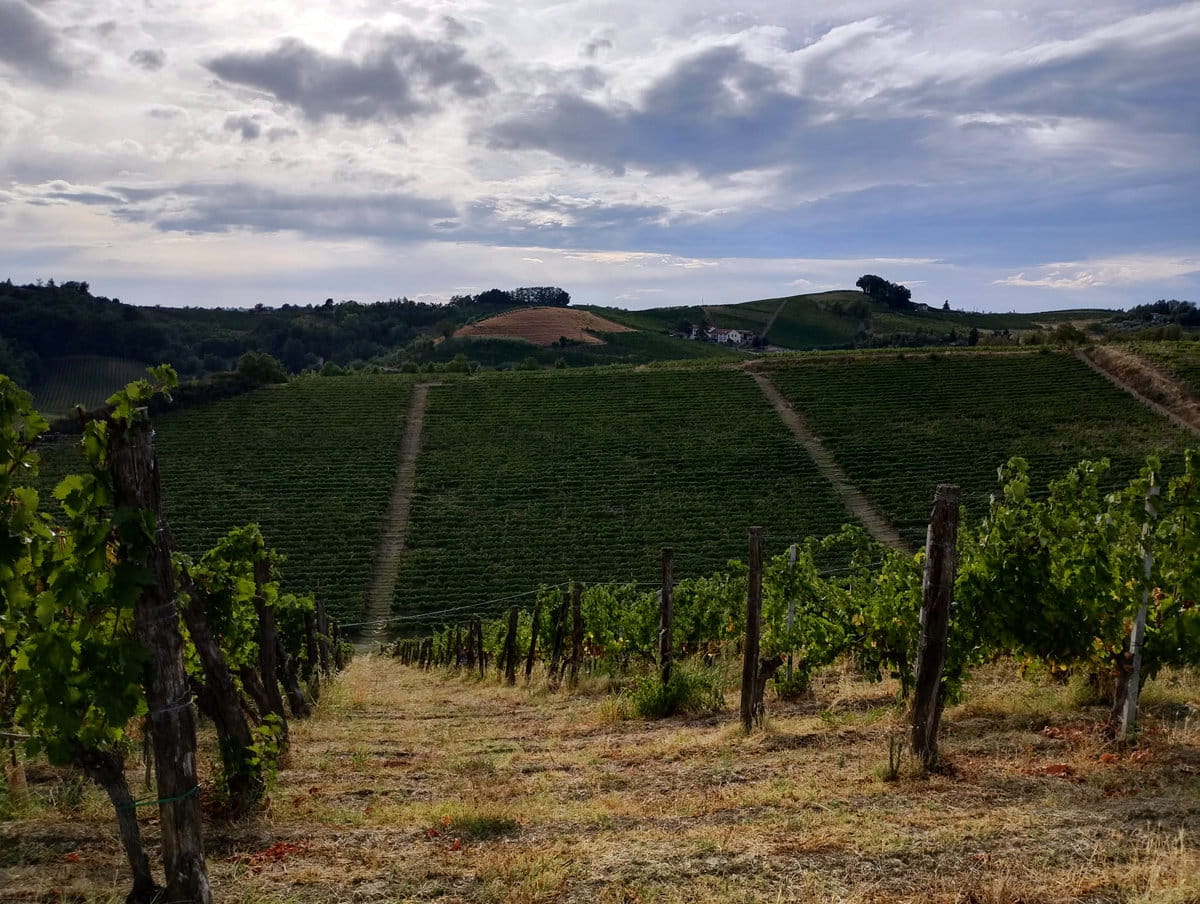 Monferrato